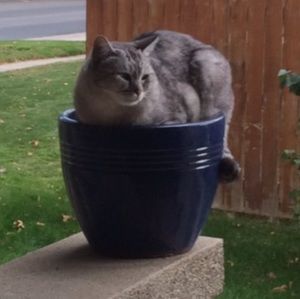 Meet your Posher, Noah